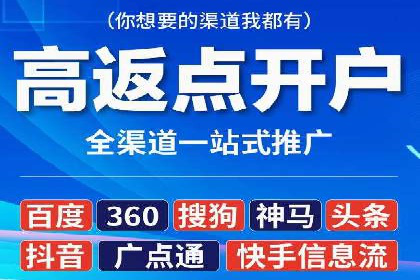 sem代运营机构经典案例：提升广告投放效果
